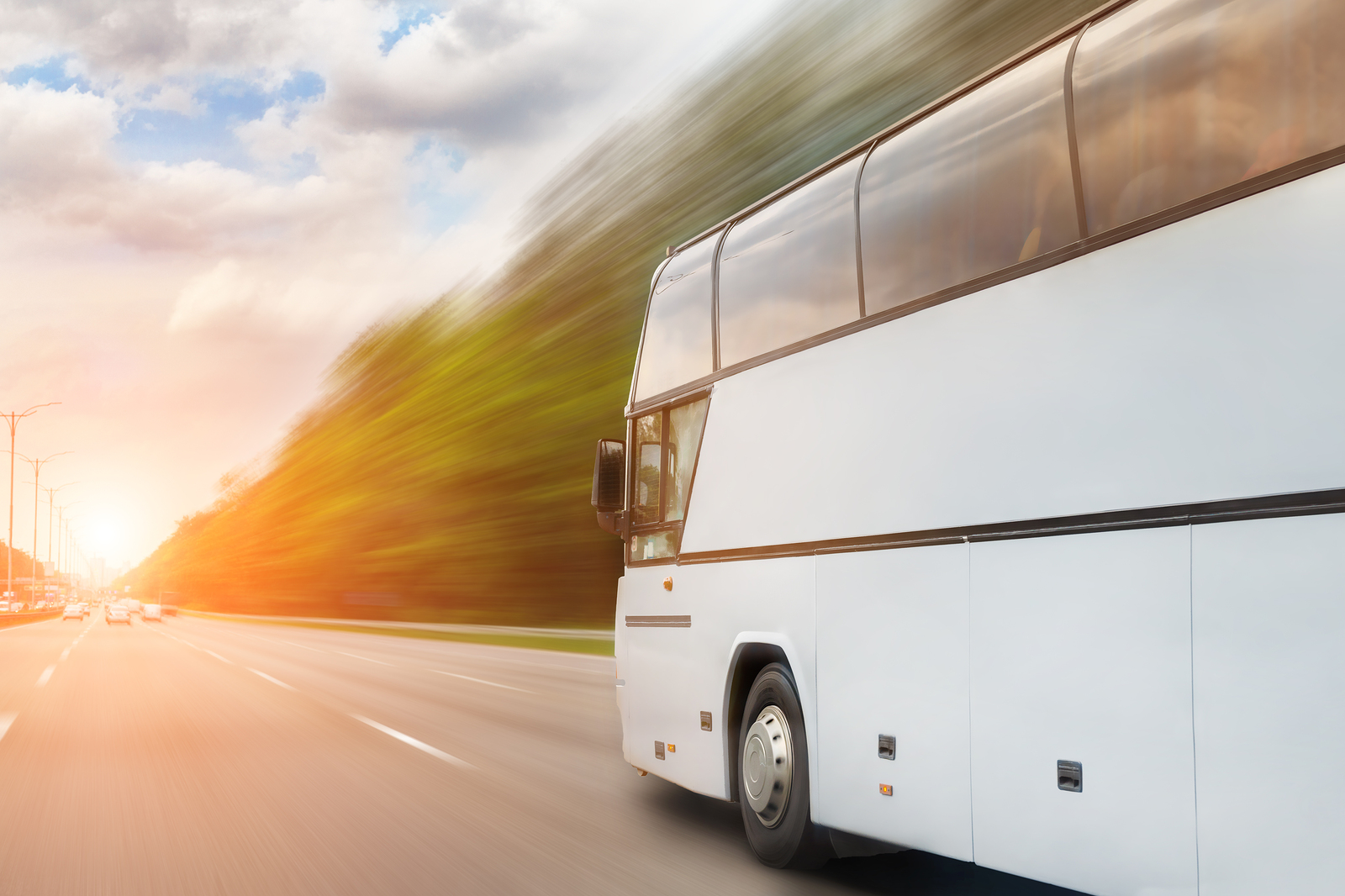Coach Holidays