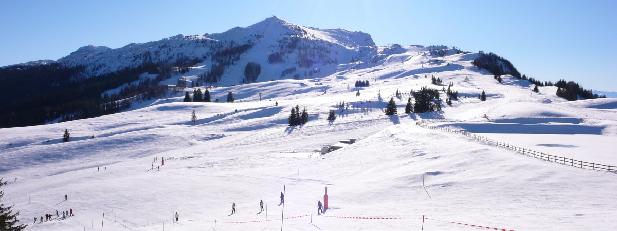 Ski Holidays